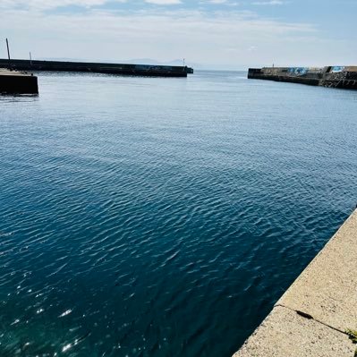 H2SX_YUKKE's profile picture. 魚突き大好き。水産業も経験して、魚の少なさも仕事の大変さも実感。魚突きとは上手くやれないんだろうか…