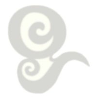 オイスターズ (@oysters_web) 's Twitter Profile Photo