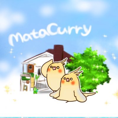 Matacurry_ebina Profile Picture