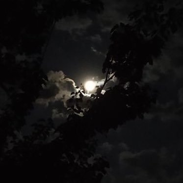 ربي إني أستودعتك حياتي فلا تجعل مُرها يشقيني ولا حلوها يلهيني💛