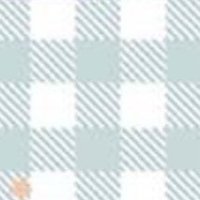 ねこは (@nekohast) 's Twitter Profile