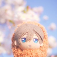 ぬいティカ (@nui_tica) 's Twitter Profile