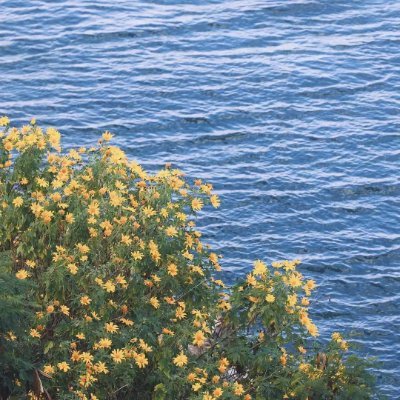 li1650661021026's profile picture. 