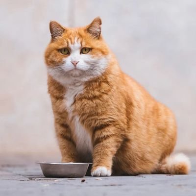 money_hunter66's profile picture. love jogging, love driving and car modification