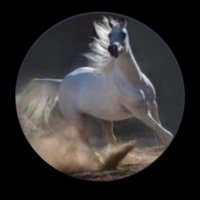 !!؟؟سكون الضامي!!؟؟ (@vxiio2) 's Twitter Profile