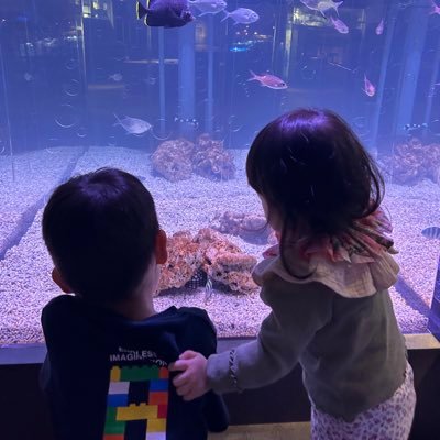 zi_xvw's profile picture. 夫と息子（2019.5生）娘（2023.2生）と、2021.6〜インドネシア🇮🇩2023.6〜タイ🇹🇭趣味は読書、漫画、ゲーム、手芸。無言フォロー失礼します