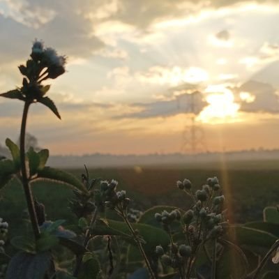 KungarKaushik's profile picture. I am learner 📖📚📑