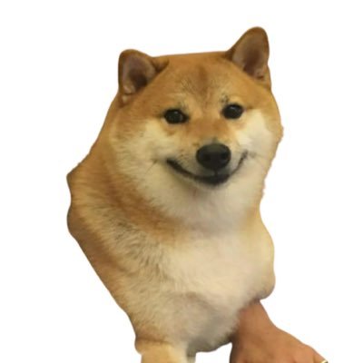 Sapphire_k8's profile picture. Lost in the labyrinth of timepass. Here to sprinkle some humor and randomness into your timeline. Enjoy the ride!