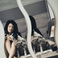 la luna e il cane(@lunaelupo7) 's Twitter Profile Photo