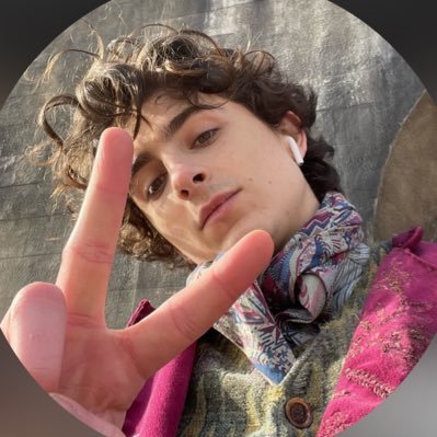 Best known as Elio, in Call me By your Name, Timothèe Chalamet is your known New Yorker, and happily wondering the world. NOT: Timothèe. |