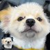 名古屋メンエスリポ犬No1 (@menesunabiken) Twitter profile photo 名古屋メンエスリポ犬No1 (@menesunabiken) Twitter profile photo