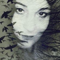 🤍💜 Tanya 🤍💜 (@willjanetp) 's Twitter Profile