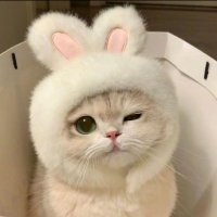 每日大赛 (@giraj_kela) 's Twitter Profile