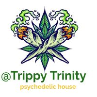 trippy trinity(@TrinityTri6960) 's Twitter Profile Photo
