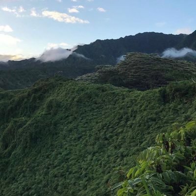 NigerianGuy12's profile picture. || 🇳🇬||