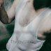 °•นายกระดาษ•° (@theend245361) Twitter profile photo °•นายกระดาษ•° (@theend245361) Twitter profile photo