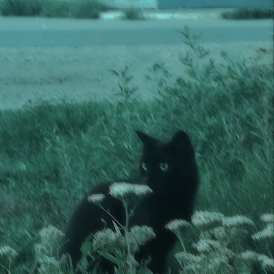 se_tao57213's profile picture. 