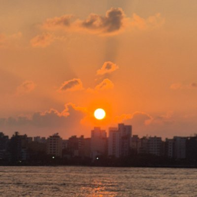 A spiritual realm crafted to cultivate calmness, mindfulness, personal advancement, and inventive thoughts.
https://t.co/H1KOLqOzZc