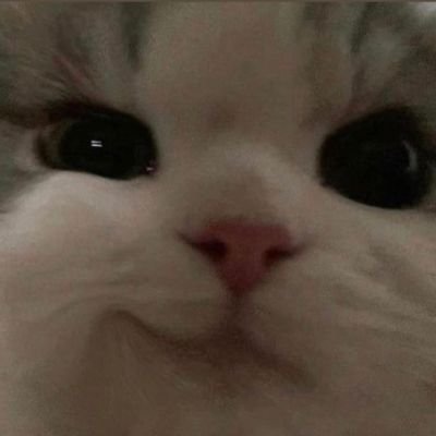 wonnie_nyang's profile picture. 