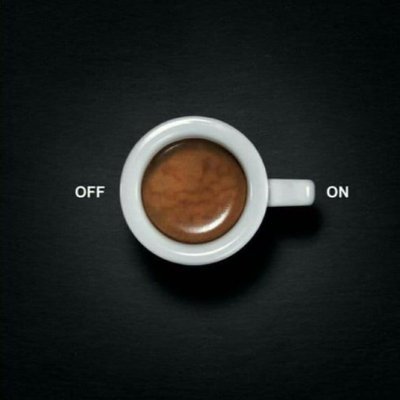 tippidi's profile picture. 