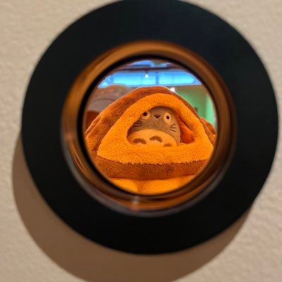 Y07072678's profile picture. 