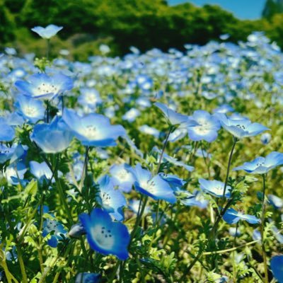 Gackt@モンスト垢さんのプロフィール画像