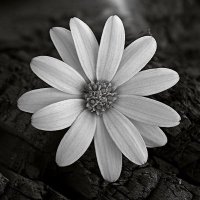 نبأ يقين… (@i_jh19) 's Twitter Profile Photo نبأ يقين… (@i_jh19) 's Twitter Profile Photo