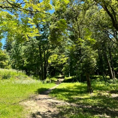 FThcInCKv1e7pKq's profile picture. 