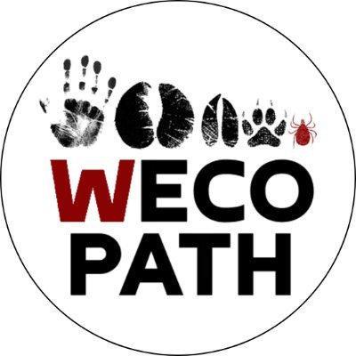 wecopath's profile picture. Wildlife ecopathology research group
PI: Ezio Ferroglio