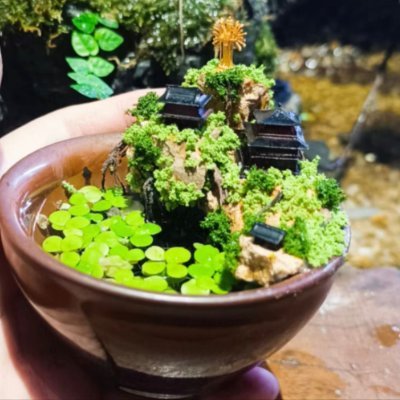 Engage in micro-model landscape creation, create a natural landscape that can be placed in the palm of your hand, and put a beautiful landscape around you.