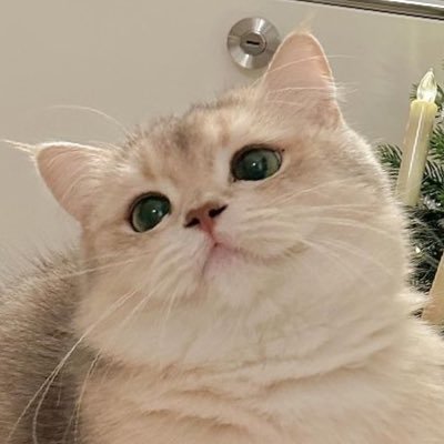 หนูเปงสาวขอนเเก่น🩺💊さんのプロフィール画像