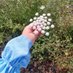 Mariam Hassan🍀☁️ (@mariamh2717) Twitter profile photo Mariam Hassan🍀☁️ (@mariamh2717) Twitter profile photo