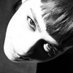 北平牧哥 (@pekingmuge) Twitter profile photo 北平牧哥 (@pekingmuge) Twitter profile photo
