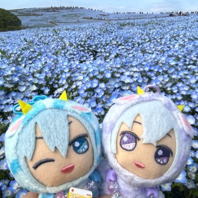 20↑/趣味垢/たまに交換探します/主にアイナナ/MEZZO”/ハロプロ/べけなー/Viola🎻/ぬいぐるみが着用しているお洋服や小物は2次創作品(購入品含む)です