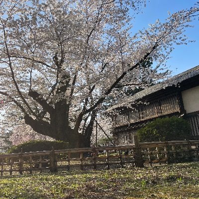 norarokurari_00's profile picture. とりあえず、ヌオーちゃんハグしたい