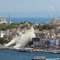 Burla (@benburlayim) Twitter profile photo