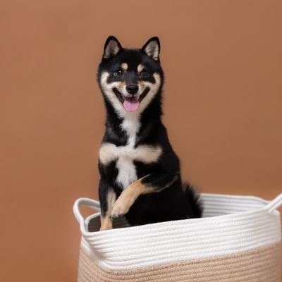 YoshieT40793's profile picture. 