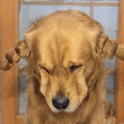 DAINP4's profile picture. 玩嘛！