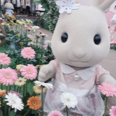 MK119sos's profile picture. p活jk/かわいくなりたい/元妊婦系pj