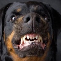That guy (@thatg1787) 's Twitter Profile Photo That guy (@thatg1787) 's Twitter Profile Photo