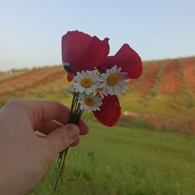 ~Tağuta kulluk etmekten kaçınıp Allah’a yönelenlere müjde vardır..
~ 2033 yılı yükleniyor~