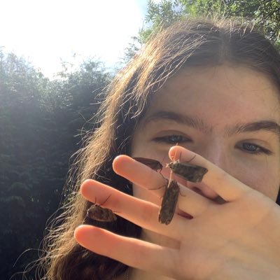 _nellviolet Profile Picture