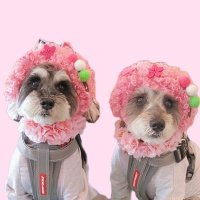 🐶もなきな🐶(@monakinalove) 's Twitter Profile Photo