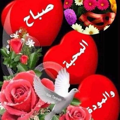 bdlzyz174125305's profile picture. 