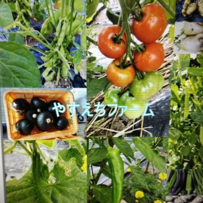 yasuethfarm8686's profile picture. 家庭菜園を中心にいろいろな野菜の栽培にチャレンジしています。
今年から厳選野菜のオンラインショップも始めました。
同じ名前のYouTubeもよろしければご覧ください。