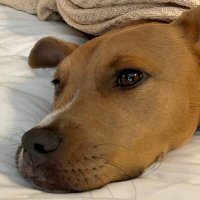 Kemptress (@klkemp78) 's Twitter Profile Photo