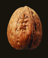 Richarts_Meyer's profile picture. RichartsMeyer | Executive Recruitment, Moscow

Headhunting, Executive Search, Outplacement, Vacancy, Personalberatung, Startup, Moskau, Russia, Russland