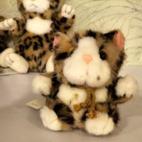 だだんだん2 (@non_compliance2) 's Twitter Profile