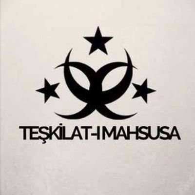 Teşkilat-ı Mahsusa Profile