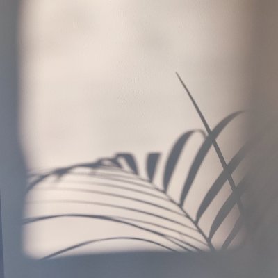 scott_on_x's profile picture. Just a 30 something MSc. "degen" with 99% of its networth in #Cardano ecosystem. $ADA holder since 2017 ✨ CNT collector 🐍🐸🐿️🐕